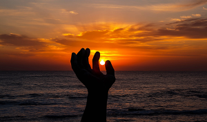 Read more about the article Healing After Heartbreak: A Gentle Path for Divorcees