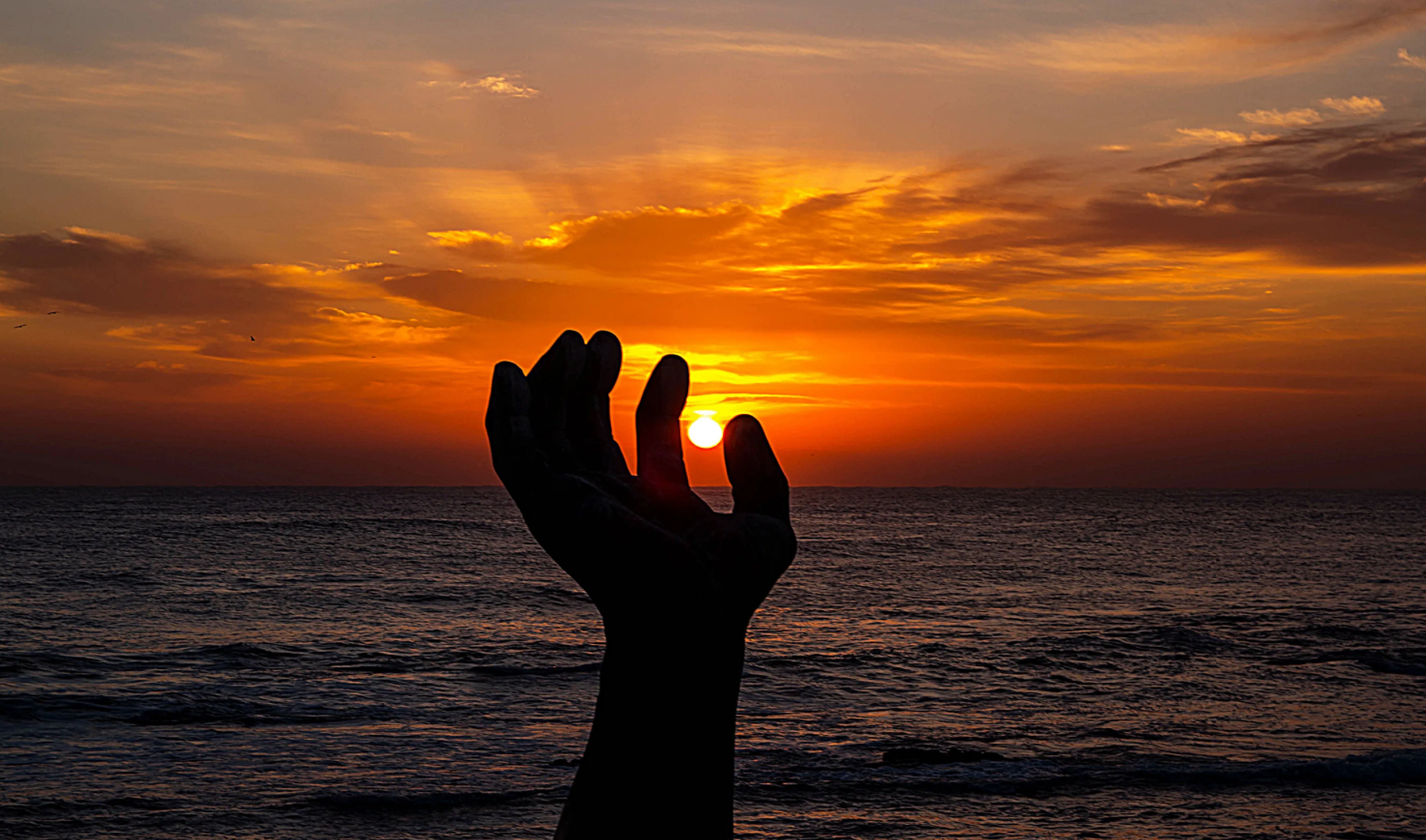 You are currently viewing Healing After Heartbreak: A Gentle Path for Divorcees