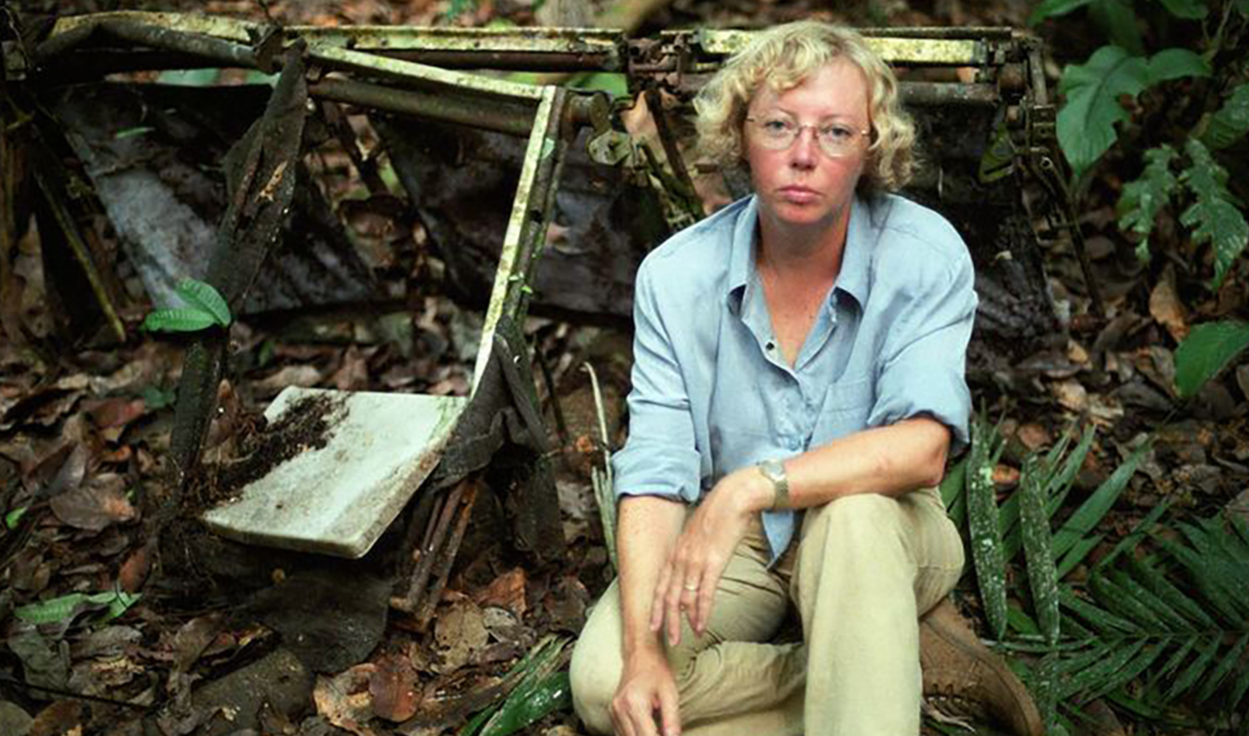 You are currently viewing The Survivor’s Journey: Building Resilience After Trauma: